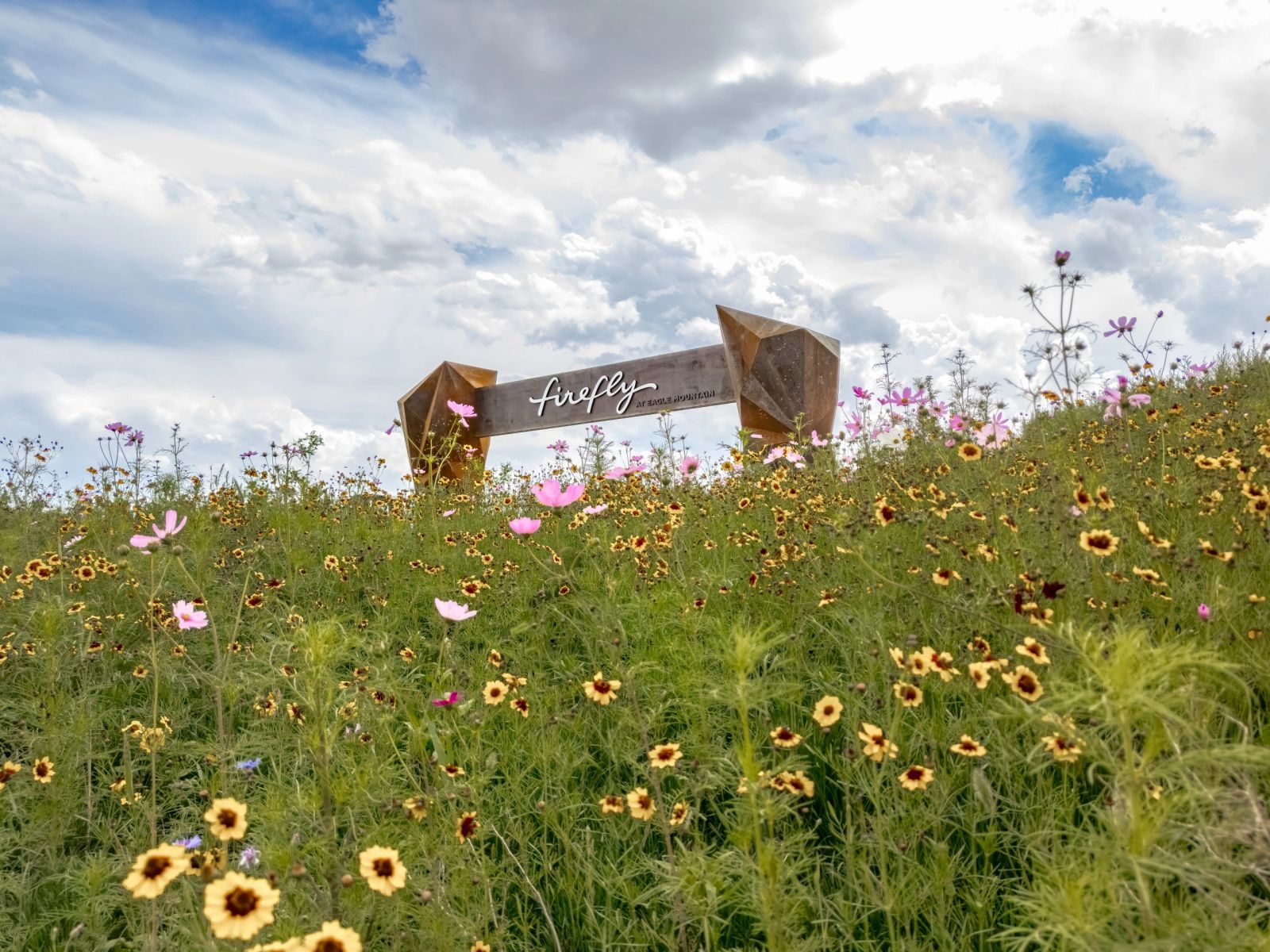 Wildflowers at the Firefly entrance sign
